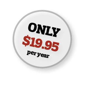 Only  19 95 per year