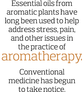 Essential oils from aromatic plants have long been used to help address stress  pain  and other issues in the practic   