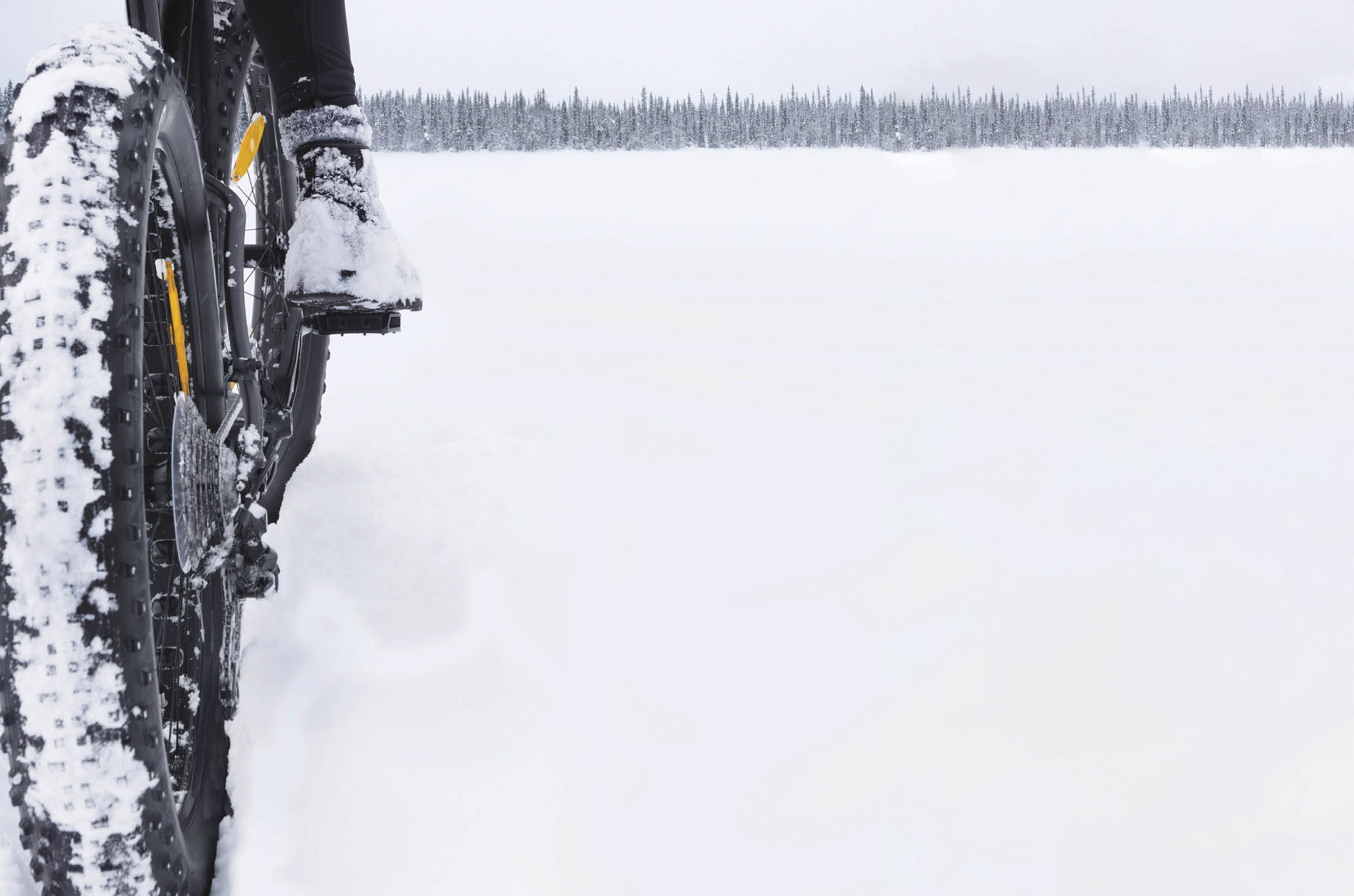 Winter snow sports  discovery and adventure