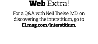 Web Extra  For a Q A with Neil Theise  MD  on discovering the interstitium  go to ELmag com interstitium 