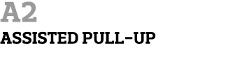 A2 Assisted Pull-Up