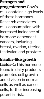 Estrogen and progesterone  Cow s milk contains high levels of these hormones  Research associates milk consumption wi   