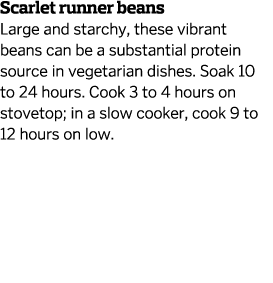 Scarlet runner beans Large and starchy  these vibrant beans can be a substantial protein source in vegetarian dishes    