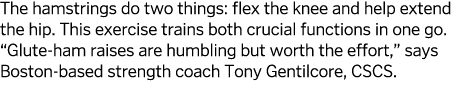 The hamstrings do two things  flex the knee and help extend the hip  This exercise trains both crucial functions in o   