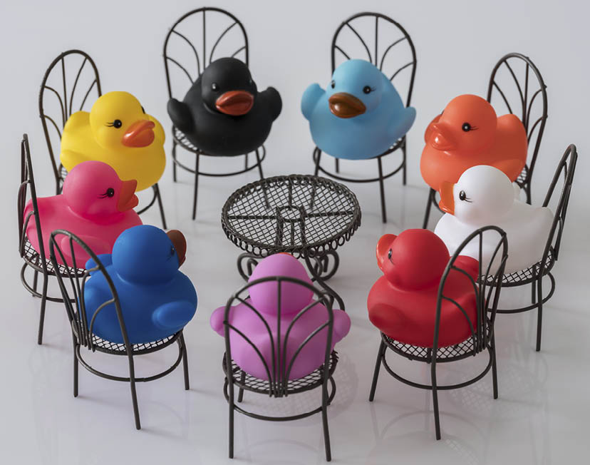 Group of nine different colored ducks on chairs around a table facing each other  scene set on a white background  Concept image regarding multi-cultural meeting  living together  peace  human rights  social issues  difference of opinion  talking  meeting  solution etc 