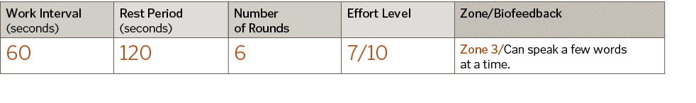 Work Interval (seconds),Rest Period (seconds) ,Number of Rounds,Effort Level,Zone Biofeedback,60,120,6,7 10,Zone 3 Ca   