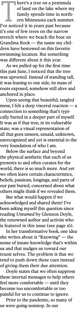 There s a tree on a peninsula of land on the lake where my family spends time in northern Minnesota each summer  I ve   