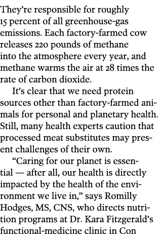 They re responsible for roughly 15 percent of all greenhouse-gas emissions  Each factory-farmed cow releases 220 poun   