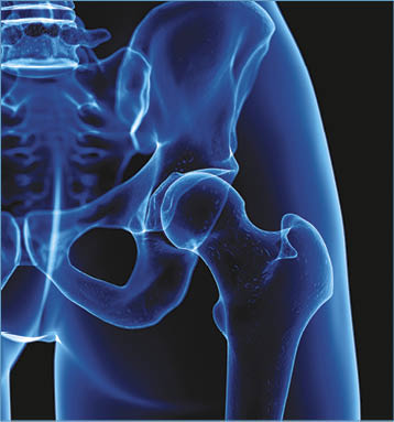 Skeleton, computer illustration 