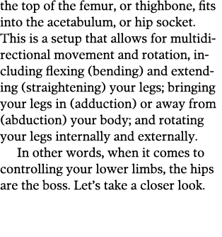 the top of the femur, or thighbone, fits into the acetabulum, or hip socket  This is a setup that allows for multidir   