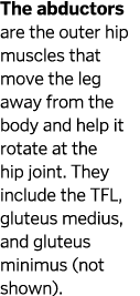 The abductors are the outer hip muscles that move the leg away from the body and help it rotate at the hip joint  The   
