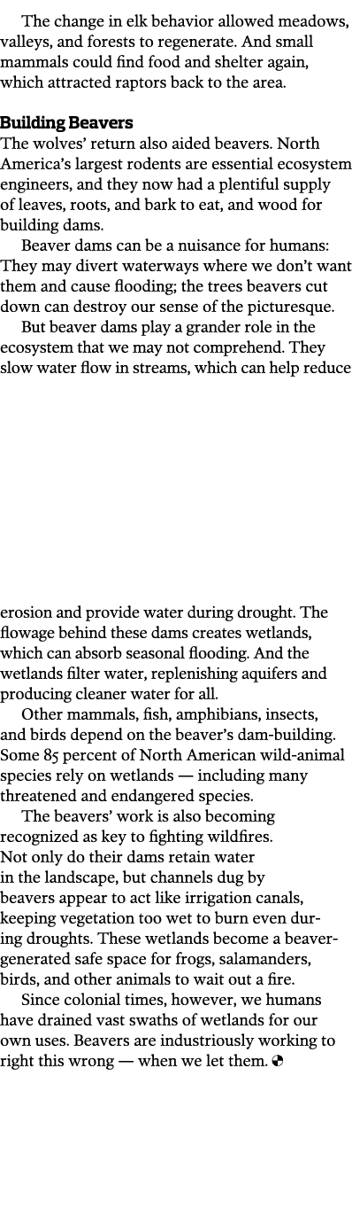 The change in elk behavior allowed meadows, valleys, and forests to regenerate  And small mammals could find food and   