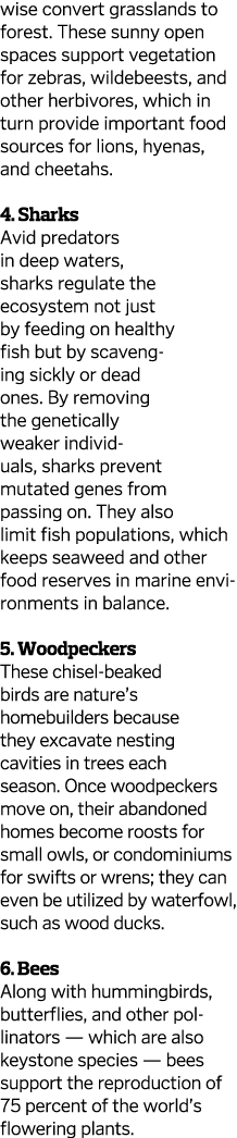 wise convert grasslands to forest  These sunny open spaces support vegetation for zebras, wildebeests, and other herb   