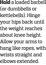 Hold a loaded barbell  or dumbbells or kettlebells   Hinge your hips back until the weight reaches about knee height    