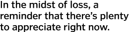 In the midst of loss  a reminder that there s plenty to appreciate right now  