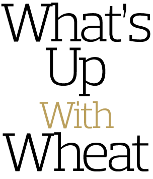 What s Up With Wheat