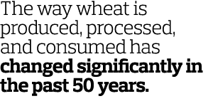 The way wheat is produced  processed  and consumed has changed significantly in the past 50 years 
