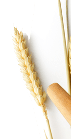 Baking  Wheat and Flour Isolated on White Background