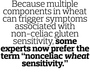 Because multiple components in wheat can trigger symptoms associated with non-celiac gluten sensitivity  some experts   