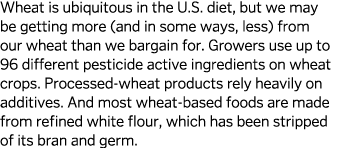 Wheat is ubiquitous in the U S  diet  but we may be getting more  and in some ways  less  from our wheat than we barg   