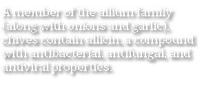 A member of the allium family  along with onions and garlic   chives contain allicin  a compound with antibacterial     