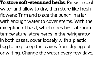 To store soft-stemmed herbs  Rinse in cool water and allow to dry  then store like fresh flowers  Trim and place the    