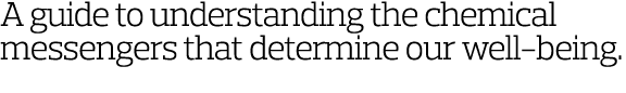 A guide to understanding the chemical messengers that determine our well-being  