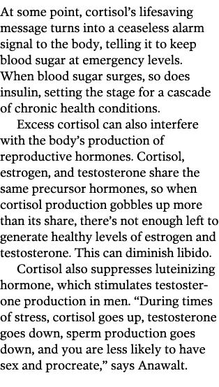 At some point  cortisol s lifesaving message turns into a ceaseless alarm signal to the body  telling it to keep bloo   