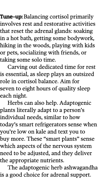  Tune-up  Balancing cortisol primarily involves rest and restorative activities that reset the adrenal glands  soakin   