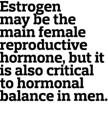 Estrogen may be the main female reproductive hormone  but it is also critical to hormonal balance in men 