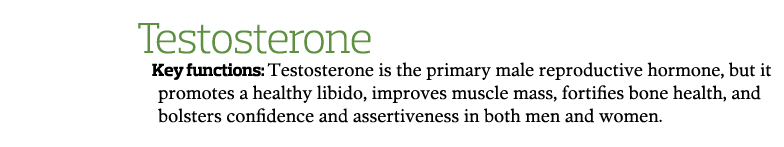 Testosterone Key functions  Testosterone is the primary male reproductive hormone  but it promotes a healthy libido     