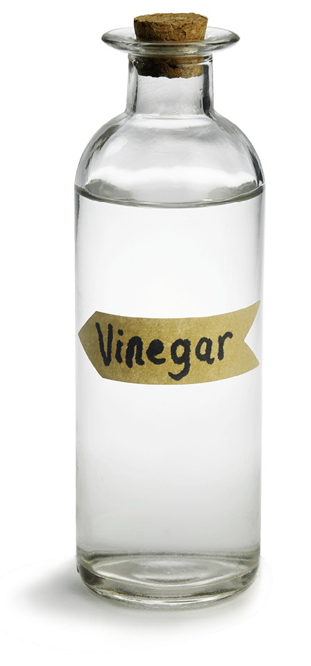 White vinegar in a glass bottle  White background 