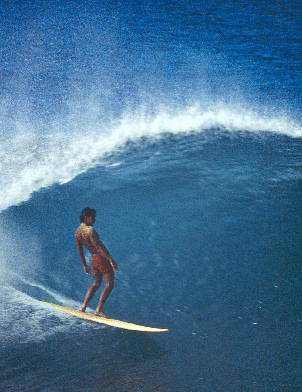  The Coral Cruiser  an eight-foot pintail gun  made surfing the Pipeline  more or less  a cakewalk  Photo  Art Brewer 