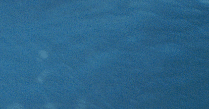  The Coral Cruiser  an eight-foot pintail gun  made surfing the Pipeline  more or less  a cakewalk  Photo  Art Brewer 