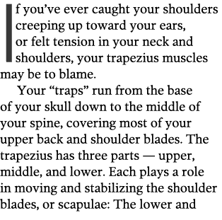If you ve ever caught your shoulders creeping up toward your ears, or felt tension in your neck and shoulders, your t   