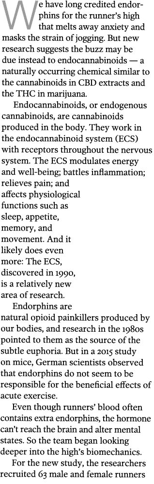 We have long credited endorphins for the runner s high that melts away anxiety and masks the strain of jogging  But n   
