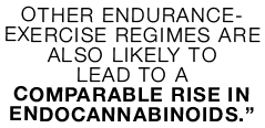 Other endurance-exercise regimes are also likely to lead to a comparable rise in endocannabinoids  
