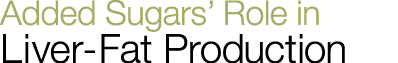 Added Sugars  Role in Liver-Fat Production