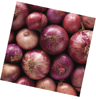 Top view of regular red onions