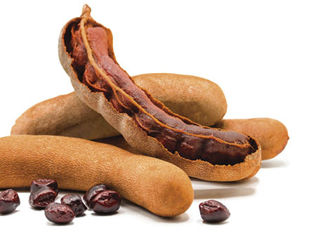 Tamarind isolated on a white background 