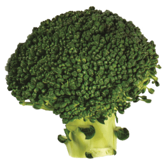 Fresh vegetables isolated on white background  Cucumber, broccoli, kale, avocado and tomato  Flat lay  Food concept; 6 Ways to Build Immunity