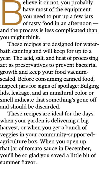 Believe it or not, you probably have most of the equipment you need to put up a few jars of tasty food in an afternoo   