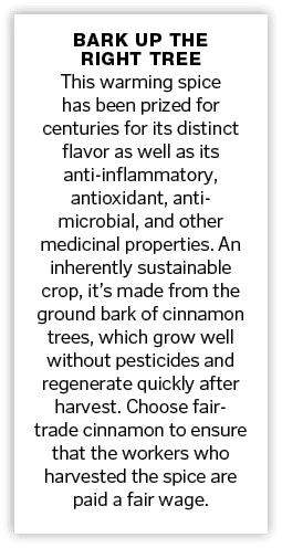 Bark Up the Right Tree This warming spice has been prized for centuries for its distinct flavor as well as its anti-i   