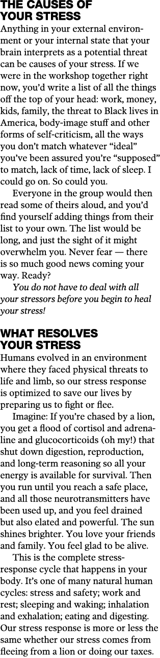 The Causes OF Your Stress Anything in your external environment or your internal state that your brain interprets as    