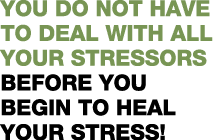 You do not have to deal with all your stressors before you begin to heal your stress  