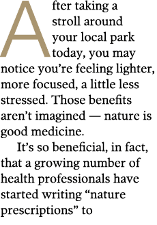 After taking a stroll around your local park today, you may notice you re feeling lighter, more focused, a little les   