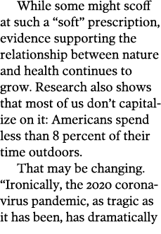 While some might scoff at such a  soft  prescription, evidence supporting the relationship between nature and health    