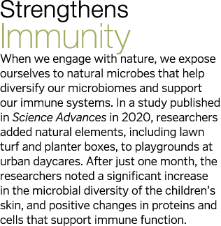 Strengthens Immunity When we engage with nature, we expose ourselves to natural microbes that help diversify our micr   